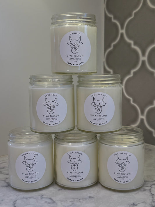 Tallow Candle (9 oz)